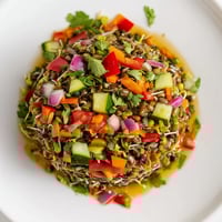 A close-up of a Sprouted Seed Salad with colorful diced cucumbers, tomatoes, and bell peppers mixed with fresh sprouts, drenched in a light lemon-olive oil dressing.